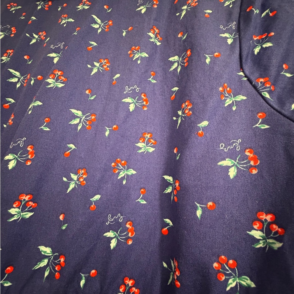 Lovely Lanz of Salzburg Cherry Dress - Picture 3 of 4